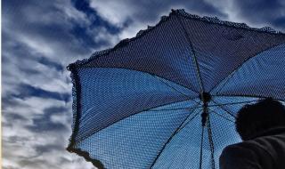 雨中漫步钢琴简谱 雨中漫步钢琴简谱