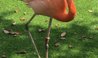 上海动物园攻略 上海动物园攻略