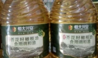 橄榄油哪里有卖